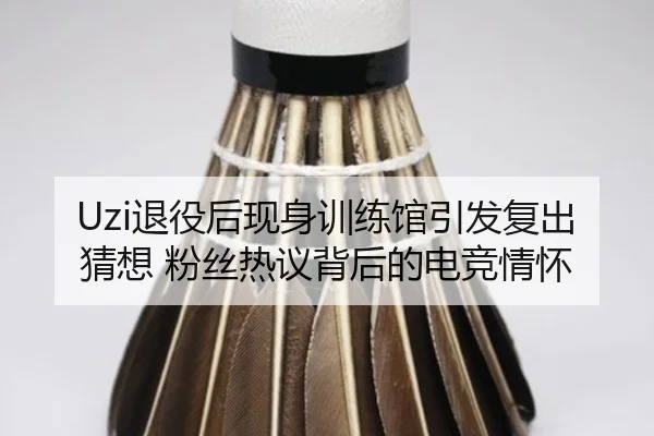 Uzi退役后现身训练馆引发复出猜想 粉丝热议背后的电竞情怀