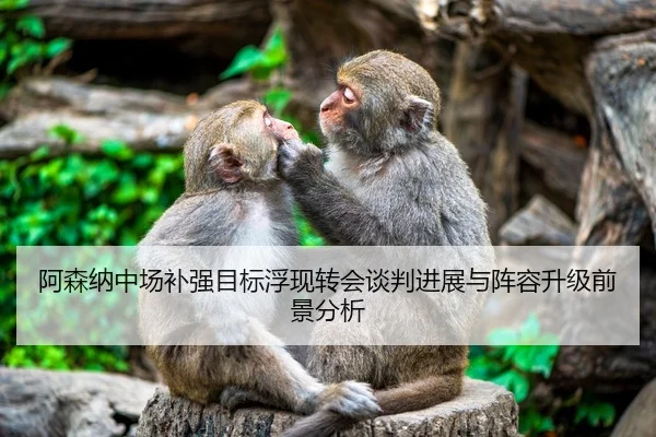 阿森纳中场补强目标浮现转会谈判进展与阵容升级前景分析